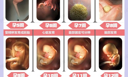 权威红泽兰草药图片平台,分享专业泽兰与红花同用的功效知识_红泽兰的功效与作用网